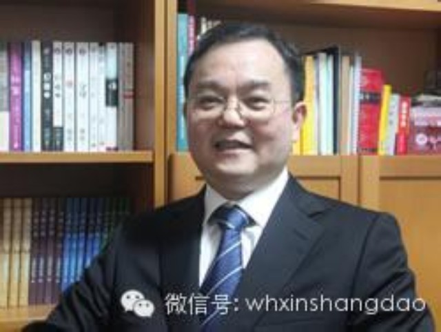 武汉电视台专访武汉新特光电技术有限公司董事长陈义红